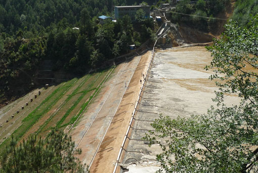 ���߷���������ϩ�ܲ����Ĵ�ĳ�V�I(y��)��˾β�V�đ�(y��ng)��